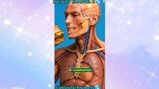 WHAT HAPPENS WHILE YOU EATING HAMBURGERS  INSIDE YOUR BODY