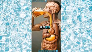 What HAPPENS WHILE YOU DRINKING BEER  INSIDE HUMAN BODY