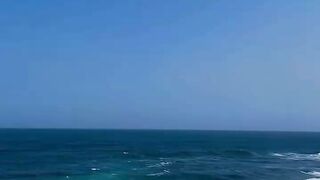 The Tropical Paradise