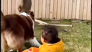 Baby funny Reel?