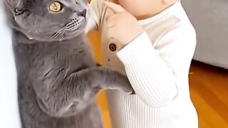 Funny Reel?
