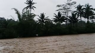 Crazy bencana alam