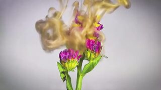 Little Pink Flowers And Golden Ink