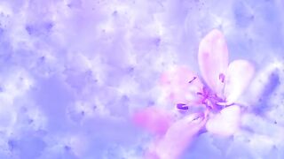 Pink Flower Background