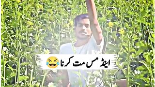 Funny video