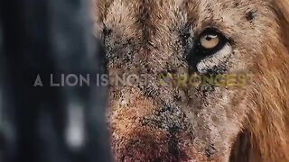 Motivational video for everyone
