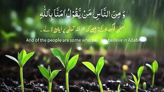 Tilawat e Quran Majeed