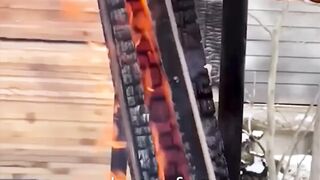 Why Japan Burns Wood to Build Houses