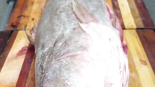 Southern feast giant argyrosomus regius oven roasted with rice
