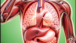 What Happens Inside Your Body When You Drink Milk?  3D Medical Animation