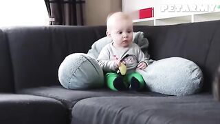 Watch Animals and Babies Share Pure Love for 30 Minutes