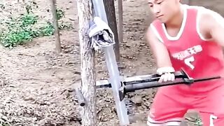 Darakht ko seeda krne ka tariqa