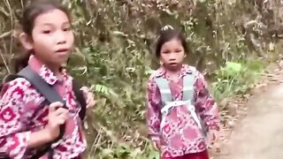 Walking 4 km Every Day Through the Forest to Seek Knowledge
