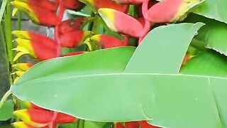 berdamai dengan diri sendiri