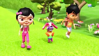 Animated video