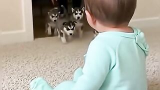 baby funny
