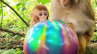 When Curiosity Goes BOOM!