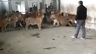 Situasi mengerikan
