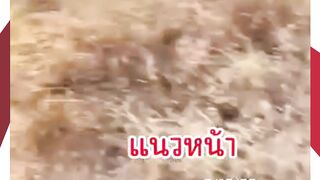 Perbatasan Panas Satu Tewas, Empat Luka Usai Serangan Thailand ke Kamboja