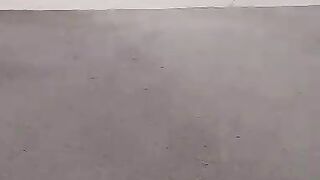 Walk in morning 4