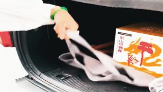 Ultimate Portable Grill for Camping  Picnics  Fold, Cook  Enjoy!