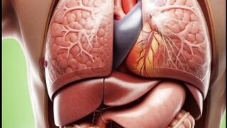 What Happens Inside Your Body After Drinking Coffee?  3D Medical Animation