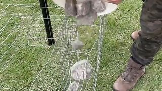 He built a stone grill that rotates the meat using the power of water
