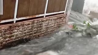 Silence turned into a roar the flood arrived without giving a moment to escape.