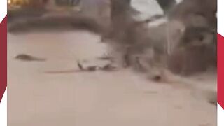 Sungai Baru Garoga Mendadak Meluap, Material Kayu Terseret Warga Batangtoru Panik Berhamburan