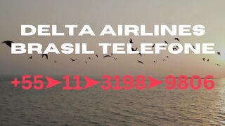 ((GuiAAyuda))Como marcar o número de contato da Delta Airlines Brasil?