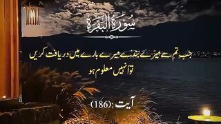 Tilawat e Quran Majeed