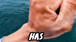 Courage to Cast Again  Thats How You Win