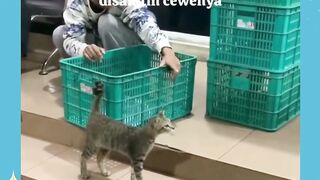 Herannya KO DIA NGERTI GITU