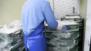 How Korea Mass-Produces Food Faster Than Anywhere Else Part 8