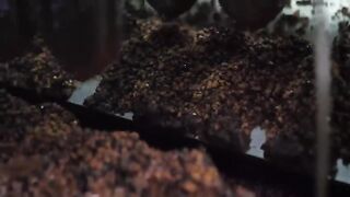 How Korea Mass-Produces Food Faster Than Anywhere Else Part 15