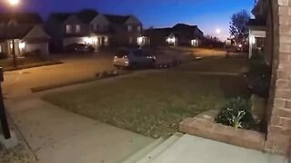 A cat shooting a shotgun  AI has officially lost its mind.