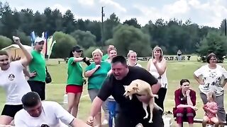 collection of funny videos