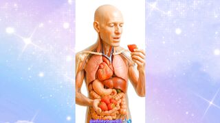 WHAT HAPPENS WHILE EATING STRAWBERRY  IN HUMAN BODY