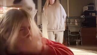 collection of funny videos