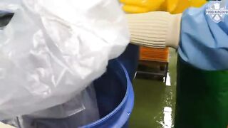 Fascinating Food Production in Korea From Braised Short Ribs to Cheese and Apples Part 8