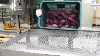 Fascinating Food Production in Korea From Braised Short Ribs to Cheese and Apples Part 15
