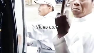 collection of funny videos