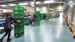 Fascinating Food Production in Korea From Braised Short Ribs to Cheese and Apples Part 23