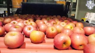 Fascinating Food Production in Korea From Braised Short Ribs to Cheese and Apples Part 24