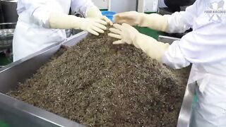 Fascinating Food Production in Korea From Braised Short Ribs to Cheese and Apples Part 29