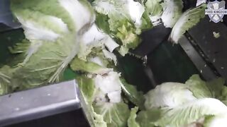 Fascinating Food Production in Korea From Braised Short Ribs to Cheese and Apples Part 35