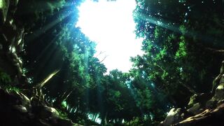 Fie Fce S02E08 720p HD