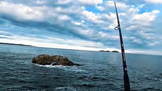 An Empty Rod Is Not Failure  It Means Youre Still Fighting