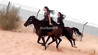 Arabic horse ride