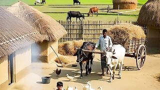 Winter Season in Village